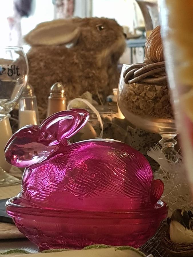 B&B Delices De Rose Ieper Luaran gambar